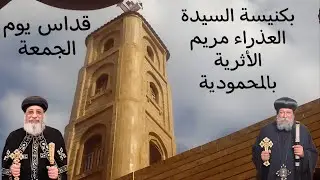 ✠قداس يوم الجمعة الموافق  2026/1/16 ✠ الموافق 8 طوبه 1742ش ✠ بكنيسة السيدة العذراء مريم بالمحمودية