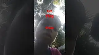afnl