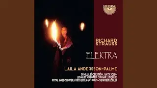 Elektra: Xvi. Wie stark du bist!