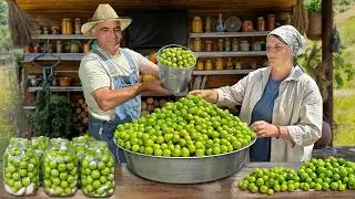How to Pickle, Jam & Bake Green Cherry Plums &ndash; Village Cooking Day