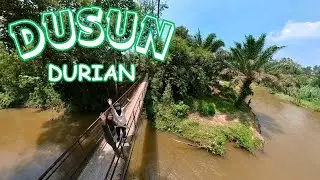 Rasa Durio Eco Glampz | Camping Percubaan (Part 01)