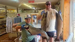 🔴 LIVE - Harbors are on Fire! | Lake Michigan Fishing Report 9/20/25