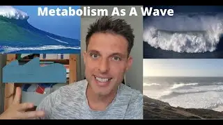 Metabolism As A Wave