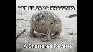 VeiledGrog - A Shattered Reverie