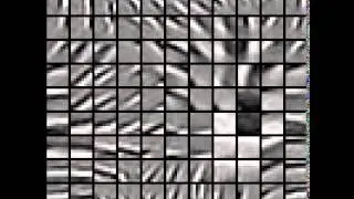 UFLDL Sparse Coding Topographic Learning