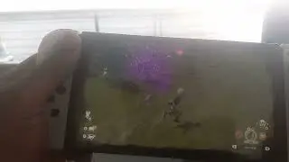 PLA: How to Catch Beautifly