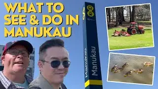 What to see in Manukau