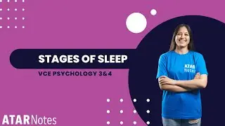 Stages of Sleep | VCE Psychology 3&4