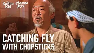 Catching A Fly With Chopsticks | The Karate Kid (Ralph Macchio, Pat Morita)