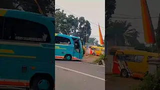 exotic holiday membasuri🕺💃#foryou #viralyoutube #buspariwisata