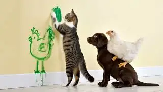 Cats Painting on the Wall! 🐱🎨