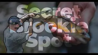 Fly Fishing Secret Pocono Brook Trout Hole | CAPTAIN JOE FLY GUIDE
