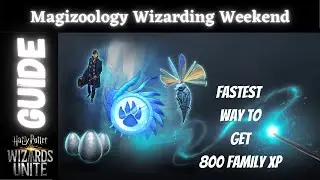 Magizoology Wizarding Weekend Guide