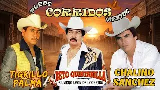 Chalino Sanchez, Beto Quintanilla y Tigrillo Palma Mix Para Pistear || Corridos Viejitos Mix 2026