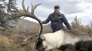 NWT Mackenzie Mountain Caribou, 2018