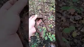 Have you ever seen such a big horseshoe?😱😱😱 #metaldetecting #metaldetector