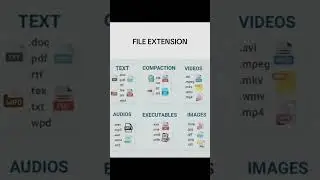 Never be confused by a file type again! 💾