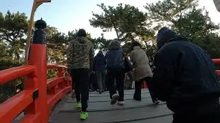 20260101・PHMもうすぐ62の元旦散歩