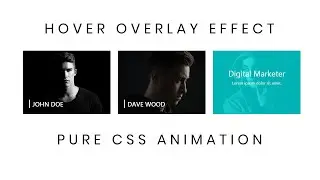 Pure CSS Image Overlay Effect | CSS Image Hover Effects