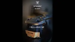 Bark Beat Enigma  | BB Syllabus Two