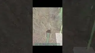 Tek Shields Are Insane On ARK
