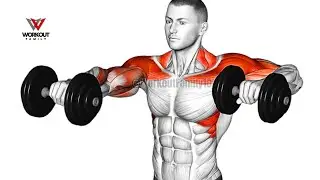 10 Best Shoulder Presses for Strength and Width | Muscle Building Dumbbell Workout