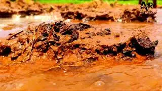 Palleturi Andalu# Veduruparthi #Beautie Wibes#Nature#Peoples......Do Farming to get Happiness in it
