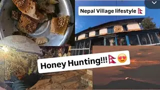 Winter Honey Hunting!!! Village life 😍🇳🇵