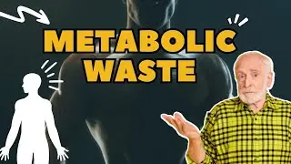 Metabolic Waste: Understanding Its Importance for a Healthy Body
