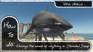 Tutorial: How to rename anything in Stranded Deep 1080p