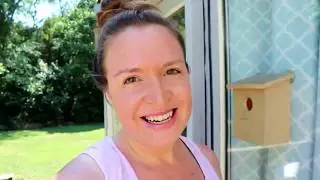 Suburban Homestead- July Update