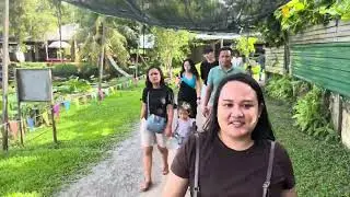 Jalai-jalai mai bala anak ngagai Miri Crocodile Farm