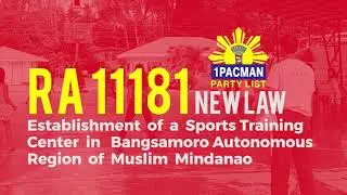 25 batas na naipasa ni Cong. Mikee Romero