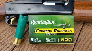 Впечатляет! Тест дроби Remington Express Magnum 3