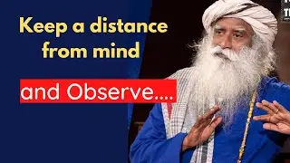 Keep a distance from mind and observe