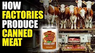 Why Canned Meat is the Future of Food
