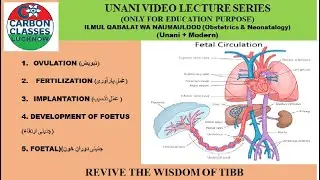 1-OVULATION, 2-FERTILIZATION, 3-IMPLANTATION 4-DEVELOPMENT OF FOETUS 5- FOETAL CIRCULATION- FOR BUMS