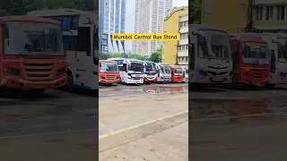 MSRTC Mumbai Central Bus Stand | #msrtc #shorts