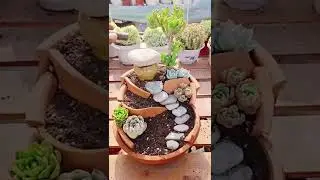Succulent DIY ideas | Vuonsenda #shorts