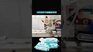 Competitive Price Wet Tissues Packaging Line Wipes 30-80 PCs Pack Pillow Packing Machine | SAYOK