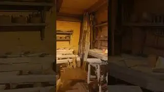 adentro de la arca