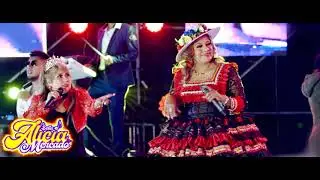 ALICIA MERCADO - Cancer De Amor