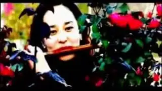 Уйгурская песня &laquo;Булбул Болуп Сайраймән&raquo;
