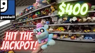 Goodwill’s Half Off Day Paid Off BIG!!!