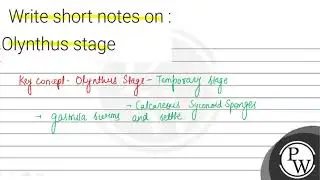 Write short notes on : Olynthus stage