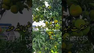 Sehat Aur Faragat ki wajh Se Log Ghaty Main Hai#shortvideo#shortviral#ytshort