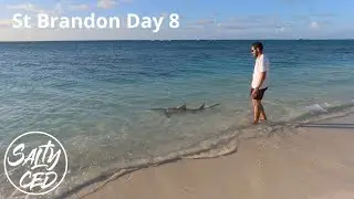 St Brandon IDS Day 8