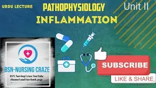 Inflammation Unit II Pathophysiology I BSN nursing Urdu lecture semester 3rd year 2