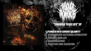 THROUGH THEIR EYES - CHERISH YOUR LIFE [OFFICIAL EP STREAM] (2025) SW EXCLUSIVE
