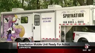 Wild Cat Foundation: Mobile Neuter Unit